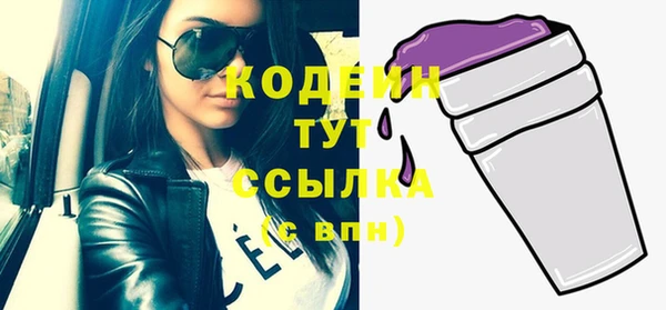индика Ветлуга