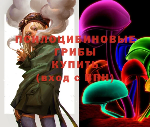 бошки Краснослободск