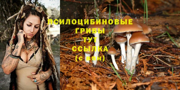 mdma Куйбышев