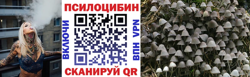 darknet Telegram  blacksprut ONION  Можга  Галлюциногенные грибы GOLDEN TEACHER 