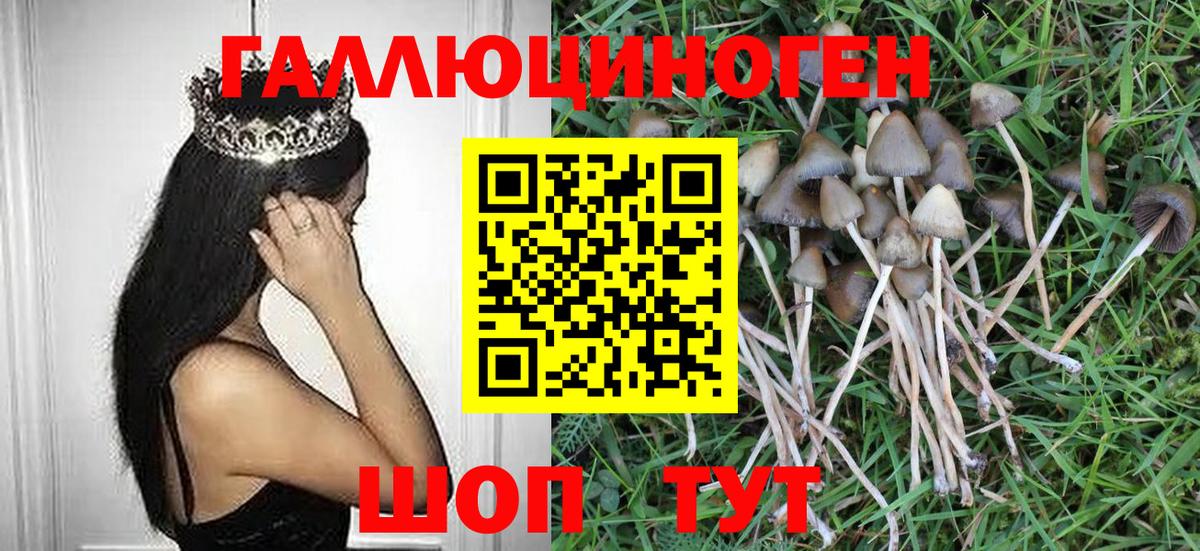 Псилоцибиновые грибы GOLDEN TEACHER  где можно купить наркотик  Можга  Вход с VPN 