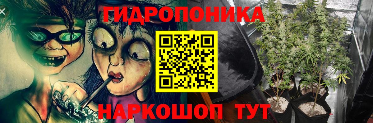 Каннабис планчик Можга